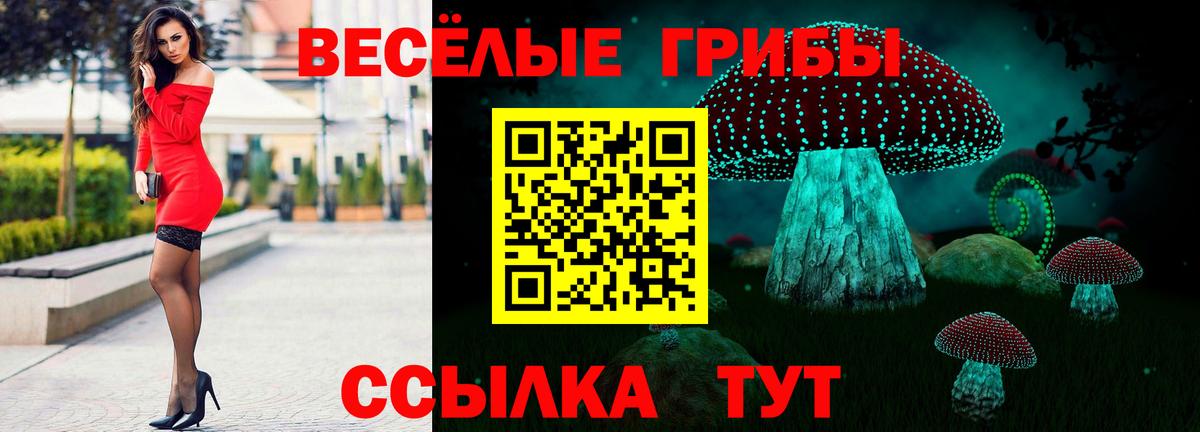 Псилоцибиновые грибы Cubensis  где продают   Карабулак 