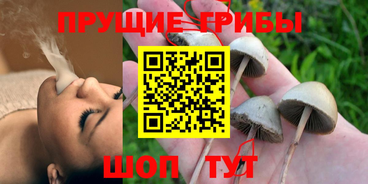 Карабулак  Псилоцибиновые грибы мицелий  Вход с VPN 